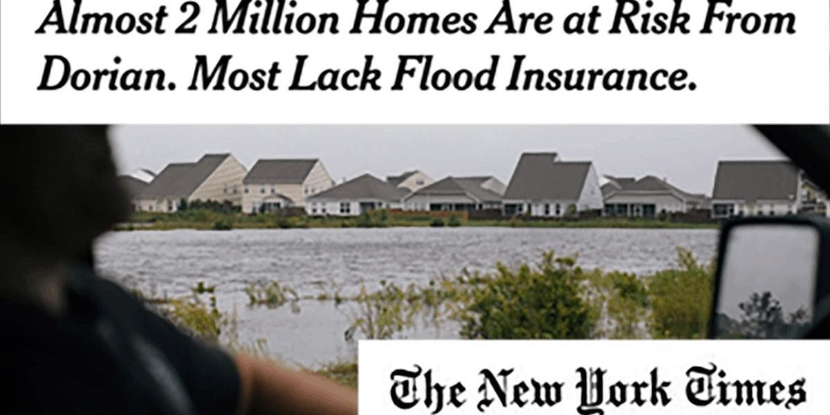 Wright Flood Insurance 2 blackwhiteandgreyangels