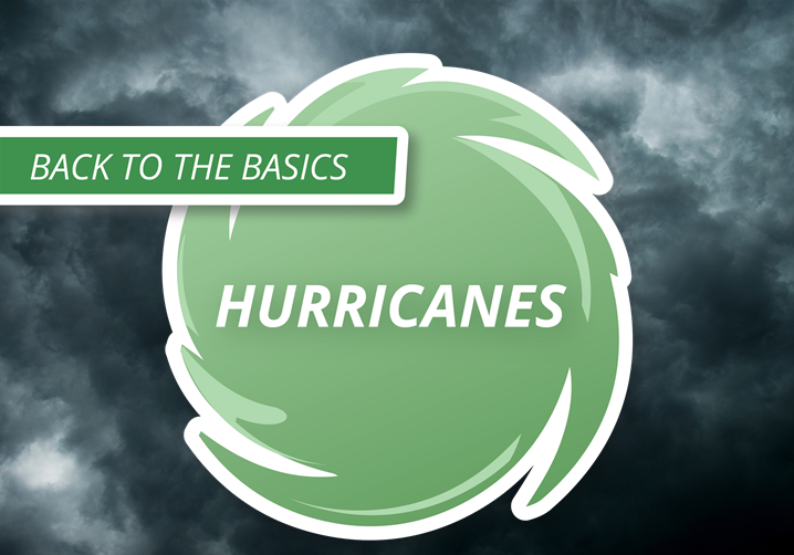 Back to Basics -Hurricane image
