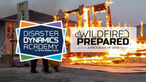 Wildfire DDA 2026 (Small)