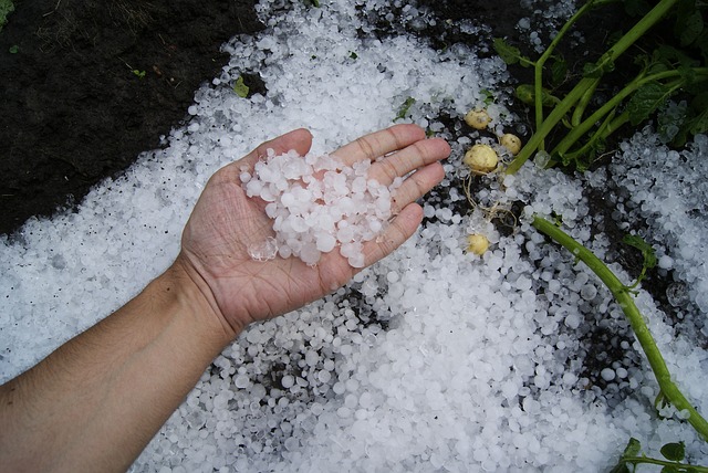 WEDNESDAY, APRIL 14, 2021 FROM 11:00AM – 12:00PM

IBHS members have raised concerns over higher hail claims frequencies in the Front Range and High Plains. This webinar explores possible physical science reasons behind this difference in hail claims for those regions compared to other areas of the Great Plains.